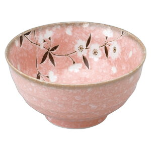 sN 5.5p [16.8×8.8cm] | H aH Ɩp  v[g Mtg  킢 JX H Zbg  ǂ [    ǂԂ 