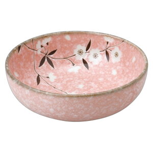 sN 5.5{[ [17.3×6cm] | H aH aM JtF  Ɩp  v[g Mtg  킢 j JX H Zbg