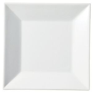 zCgXNGA[ 20cmlpM [20.7×20.7×1.8cm] |  H aH mH HX JtF aJtF JtF Ɩp  v[g Mtg  킢  _ j Z