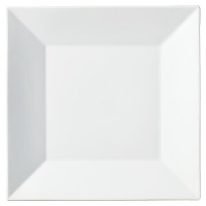 zCgXNGA[ 25cmlpM [25×25×3cm] |  H aH mH HX JtF aJtF JtF Ɩp  v[g Mtg  킢  _ j Zbg