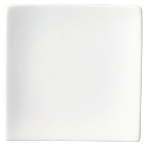 X^CRC A[opM1P() [10×10×1.5cm] |  H aH mH HX JtF aJtF JtF Ɩp  v[g Mtg  킢  _ j Zbg