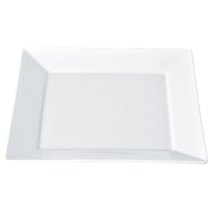 SQ sAzCg 28cmM [28.1×28.1×2.3cm] |  H aH mH HX JtF aJtF JtF Ɩp  v[g Mtg  킢  _ j Zbg