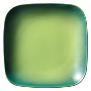 R[ O[XNGAv[g(M) [19.5×19.5×3.6cm] |  H aH mH HX JtF aJtF JtF Ɩp  v[g Mtg  킢  _ 