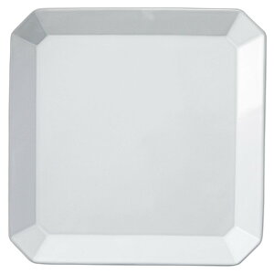 fv zCgpv[gL [26×26×2.2cm] |  H aH mH HX JtF aJtF JtF Ɩp  v[g Mtg  킢  _ j Zb