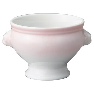 CIgt P [13×10.8×8.3cmE340cc] |  H aH mH HX JtF aJtF JtF Ɩp  v[g Mtg  킢  _ j Zbg