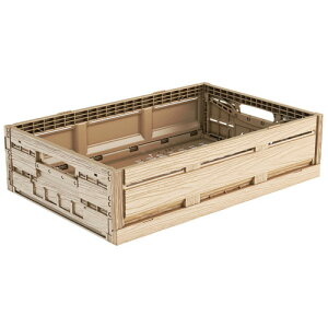 ؖڒ܂肽݃Rei[ 6419 [ Ԍ:600 x s:400 x H206mm 42.3L ] [ ~[pi ] | HX X q ۊ Ɩp