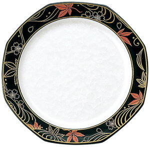 A۔pM cANA [172×168×25mm 100g] | SNS CX^f Ɩp hg ]i iM ] i ێM