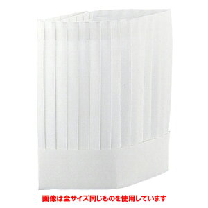  qpi  N[nbg p^(10) 250mm zCg [ S:250mm ] y HX ze  ~[ jtH[ Ɩp z