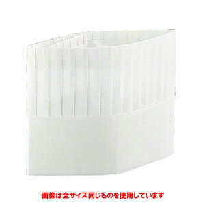  qpi  N[nbg p^(10) 250mm i` [ S:250mm ] y HX ze  ~[ jtH[ Ɩp z