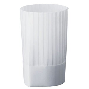 �� �q���p�i �� �N���[���n�b�g �N���V�b�N�^�C�v(10����) 200mm �z���C�g [ �S��:200mm ] �y ���H�X �z�e�� ���� �~�[ ���j�t�H�[�� �Ɩ��p �z