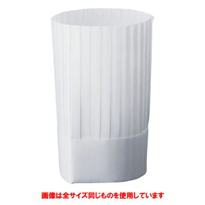 �� �q���p�i �� �N���[���n�b�g �N���V�b�N�^�C�v(10����) 250mm �z���C�g [ �S��:250mm ] �y ���H�X �z�e�� ���� �~�[ ���j�t�H�[�� �Ɩ��p �z