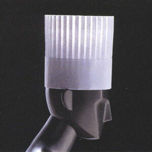 �� �q���p�i ���p���X �n�b�g PH�[25(10����) [ 250mm ] �y ���X�g���� �z�e�� �J�t�F ���H�X �Ɩ��p �z