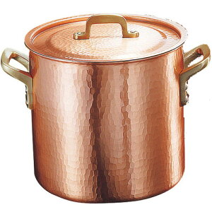    VȊ퓺 [^ 20cm SN-2 [ 200 x [ 200mm ] yHX Xg ze ~[ Ɩp z