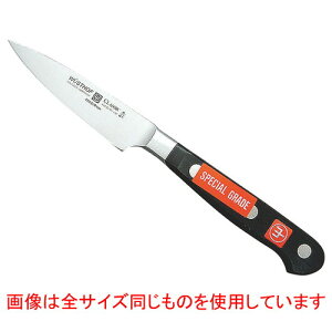 �� �������� �����H�X�g�t �y�e�B�[�i�C�t 4066-10SG 10cm �y ���H�X �~�[ �L�b�`�� �Ɩ��p �z