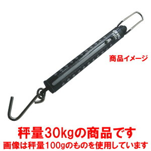  v vʗp ΂ˎ͂ ST-30 30kg ڐ500g [ 31 x 377mm ] y HX Xg ze ~[ Ɩp z