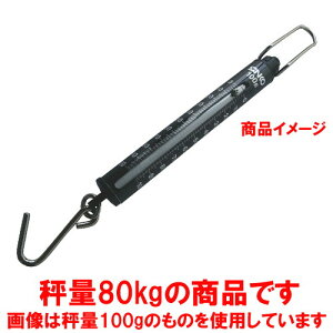  v vʗp ΂ˎ͂ ST-80 80kg ڐ1kg [ 40 x 440mm ] y HX Xg ze ~[ Ɩp z