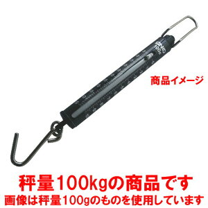  v vʗp ΂ˎ͂ ST-100 100kg ڐ1kg [ 50 x 525mm ] y HX Xg ze ~[ Ɩp z