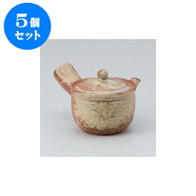 5個セット 急須 信楽焼民芸急須（深）1.5号 [300cc] 土物 | ポット 急須 きゅうす 土瓶 お茶 一服 まったり 人気 おすすめ 食器 業務用 飲食店 カフェ うつわ 器 おしゃれ かわいい ギフト プレゼント 引き出物 誕生日 贈り物 贈答品