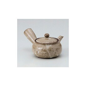 急須 信楽焼赤土窯変急須（浅）1.5号 [300cc] 土物 | ポット 急須 きゅうす 土瓶 お茶 一服 まったり 人気 おすすめ 食器 業務用 飲食店 カフェ うつわ 器 おしゃれ かわいい ギフト プレゼント 引き出物 誕生日 贈り物 贈答品