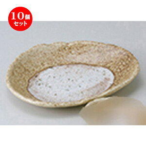 10Zbg  hg  ɉꕗѕό`M m 20 x 16 x 3.3cm n | lC  H Ɩp HX JtF    킢 Mtg v[g o a 蕨 i HZb