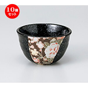 10Zbg    FT  m 10.5 x 6.2cm n |     {E \ lC  H Ɩp HX JtF    킢 Mtg v[gj j