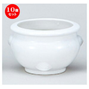 10Zbg  _  nF6.0 [ 18.8 x 10.5cm n | lC  H Ɩp HX JtF    킢 Mtg v[g o a 蕨 i HZbg