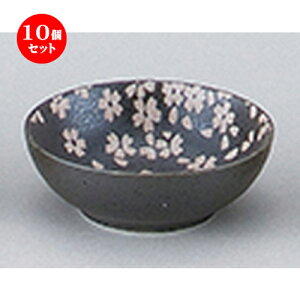 10Zbg aI[v  Vډԍ 3.9{[ [ 12 x 4cm ] |   蔫 {E   lC H Ɩp HX JtF    킢  Mtg v[g 