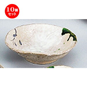 10Zbg aI[v  D 5.5hg [ 17.5 x 17 x 5.5cm ] | lC  H Ɩp HX JtF    킢 Mtg v[g o a 蕨 i