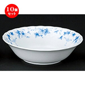 10Zbg  mI[v  x_[ 61/2DI[g~[ [ 17 x 48cm ]| M T_ pX^ M v[g lC  H mH Ɩp HX JtF    킢 