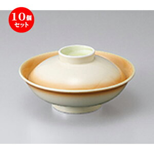 10Zbg W  ʕW [ 16.7 x 9cm n | lC  H Ɩp HX JtF    킢 Mtg v[g o a 蕨 i HZbg