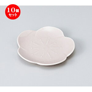 10Zbg  aM  sNԌ^XM [ 12 x 1.6cm n | lC  H Ɩp HX JtF    킢 Mtg v[g o a 蕨 i HZbg