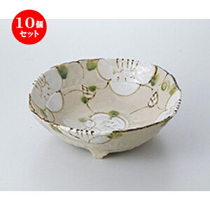 10Zbg    iqԐ [ 26 x 24.5 x 7.5cm n | 蔫  \ 蔫  H Ɩp HX JtF    킢    킢  