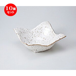 10Zbg  p  Tr̂ӎl唫 [ 19.8 x 19.8 x 8.3cm n |   蔫 {E   lC H Ɩp HX JtF    킢  Mtg v[