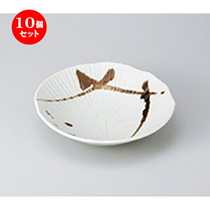 10Zbg  apX^M  F 唫 [ 22.5 x 24 x 5.5cm n | pX^ pX^M J[M pX^{E H Ɩp HX JtF    킢   Mtg v