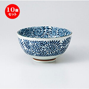 10Zbg    ^R yʘij [ 13.3 x 7.4cm n | Ԃ JtF  [  ǂ {E H Ɩp HX JtF    킢 Mtg v[g 