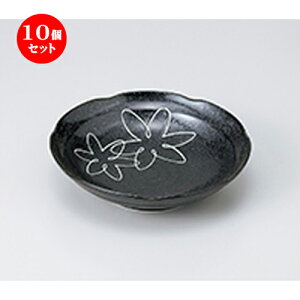 10Zbg  apX^M  䂤6.8[M [ 20.5 x 5cm n | pX^ pX^M J[M pX^{E H Ɩp HX JtF    킢   Mtg v[