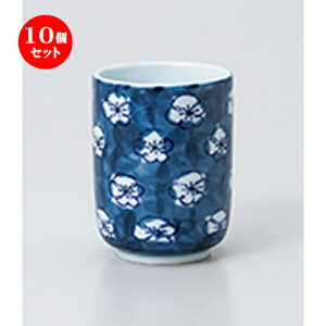 10Zbg  / ~ [ 6.1 x 8cm 150cc ] | ̂   ꕞ  lC  H Ɩp HX JtF    킢 Mtg v[g o a