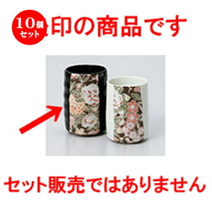 10Zbg  g  FT gہij [ 6.6 x 9.3cm E 195cc n | lC  H Ɩp HX JtF    킢 Mtg v[g o a 蕨 