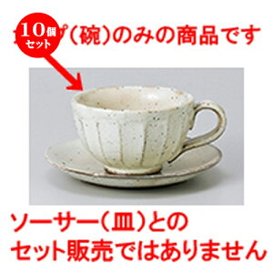 10Zbg qM / ʎR[q[q [ 9.7 x 12.5 x 6cm ] | R[q[ Jbv eB[ g i qM lC  H mH Ɩp HX JtF    킢 Mtg v