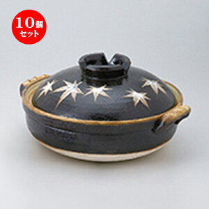 10Zbg y  ݂8.0[ [ 29 x 25 x 16cm n | lC  H Ɩp HX JtF    킢 Mtg v[g o a 蕨 i HZbg