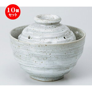 10Zbg ѓ  уW0.5 [ 13.2 x 10cm n | lC  H Ɩp HX JtF    킢 Mtg v[g o a 蕨 i H