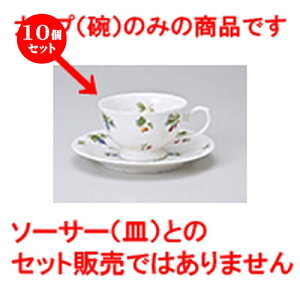 10Zbg qM / t[chpR[q[q [ q 9.7 x 6cm 200cc ] | R[q[ Jbv eB[ g i qM lC  H mH Ɩp HX    킢 Mtg