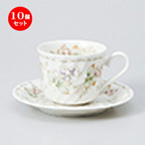 10Zbg qM / lWttH[hR[q[C/S [ q 8 x 6.8cm 186cc ] | R[q[ Jbv eB[ g i qM lC  H mH Ɩp HX JtF    킢 M