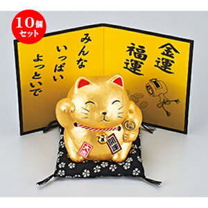 10Zbg MONEY˂E [ 10.5cm n (CeA) | L ˂ cat N yY 킢   ֏ J^ ɐ ƓS  ܂˂˂ v[g Mtg 