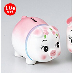 10Zbg CeA  Ԃijiꌊj [ 11.5 x 9cm n@Xgbp[t | lC  H Ɩp HX JtF    킢 Mtg v[g 