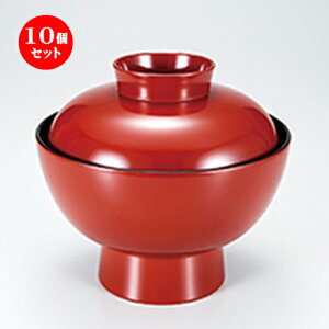 10Zbg r阥  m 155 x h 140mm n | d V V  ǂ   v[g Mtg j o j JXj ސEj i 蕨 lC ʔ  