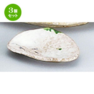 3Zbg aI[v  D 5.0OM [ 16 x 13.5 x 2.5cm ] | M fU[gM M lC H Ɩp HX JtF ze SNS v[gj Mtg p[eB o SNS SNS ƒ