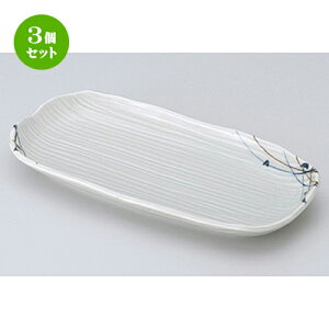 3Zbg ԓ  ނ̏ԓM [ 22.3 x 11 x 2.5cm n | ٓ  M m lC  H Ɩp HX JtF    킢 Mtg v[g o a