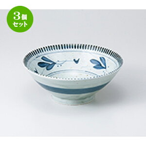 3Zbg   vq5.8Θ [ 17.3 x 7.5cm n | Ԃ JtF  [  ǂ {E H Ɩp HX JtF    킢 Mtg v[g a 