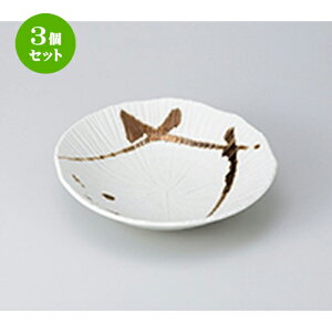 3Zbg  apX^M  F 唫 [ 22.5 x 24 x 5.5cm n | pX^ pX^M J[M pX^{E H Ɩp HX JtF    킢   Mtg v